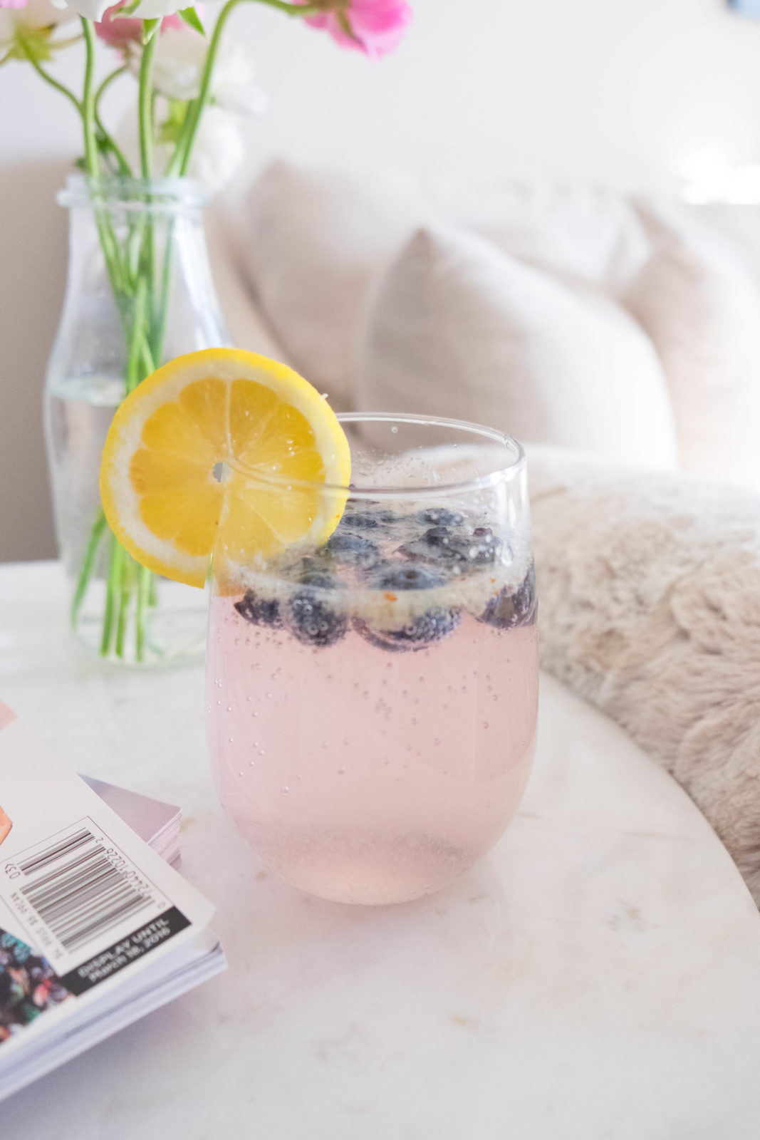 Blueberry Cocktail-21