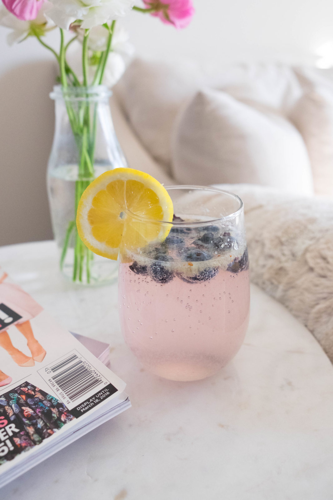 Blueberry Cocktail-22