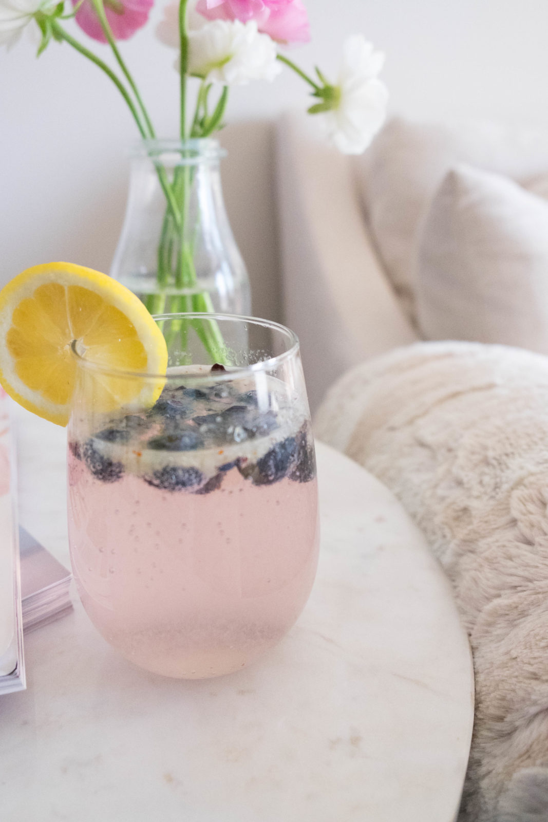 Blueberry Cocktail-25