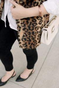 leopard is a neutral